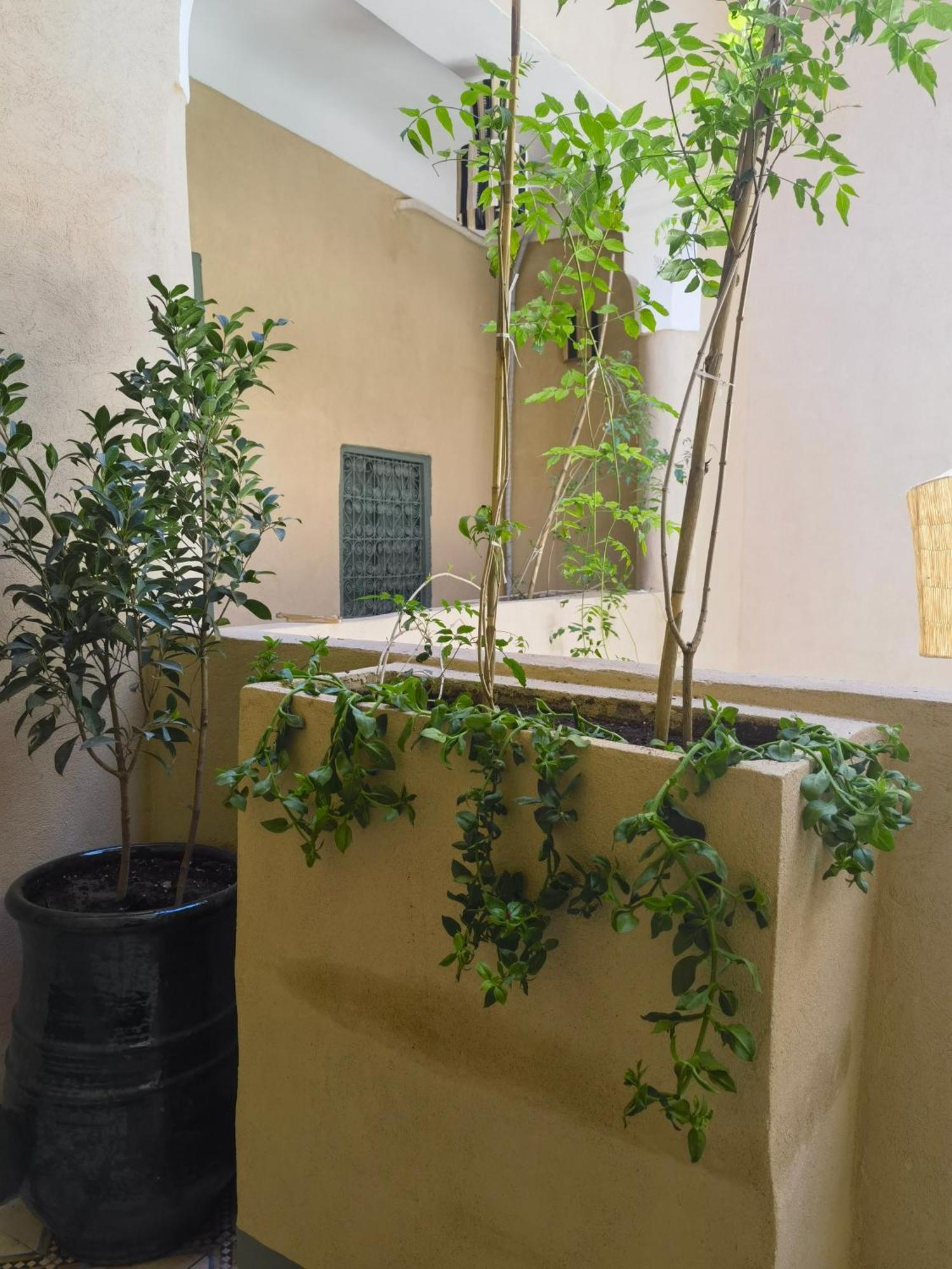 Medina Oasis Hostel Marakeş Dış mekan fotoğraf
