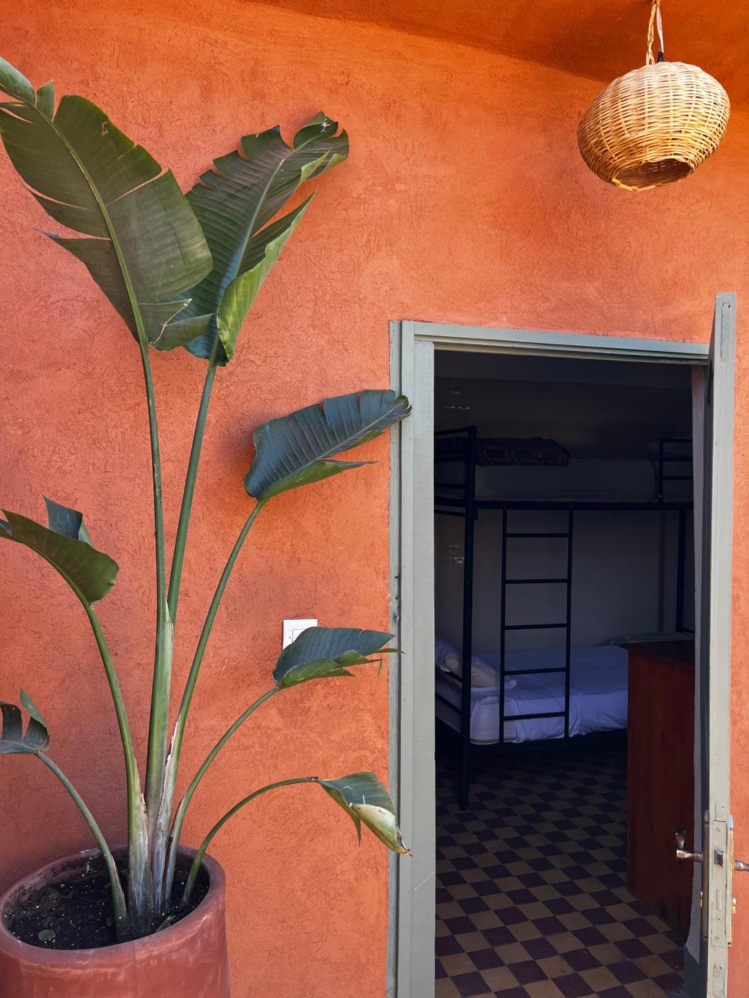 Medina Oasis Hostel Marakeş Dış mekan fotoğraf
