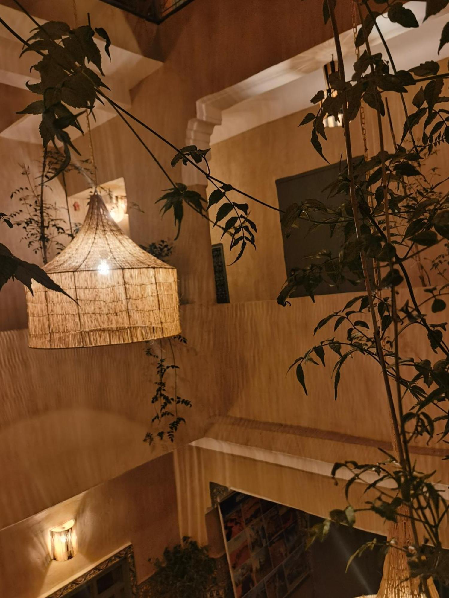 Medina Oasis Hostel Marakeş Dış mekan fotoğraf